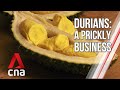 Feeding China's growing demand for durians | Correspondents' Diary | Full Episode