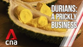 Feeding China's growing demand for durians | Correspondents' Diary | Full Episode