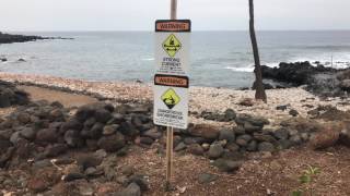 Tour Lapakahi State Historical Park Big Island Hawaii  (Whales at the end)