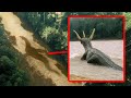Pescatori Statunitensi hanno Visto Qualcosa di Enorme in un Fiume... e Non Era un Pesce!