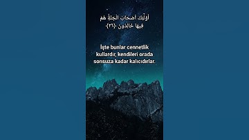 Yunus Suresi (25-26) | سورة يونس 24-25