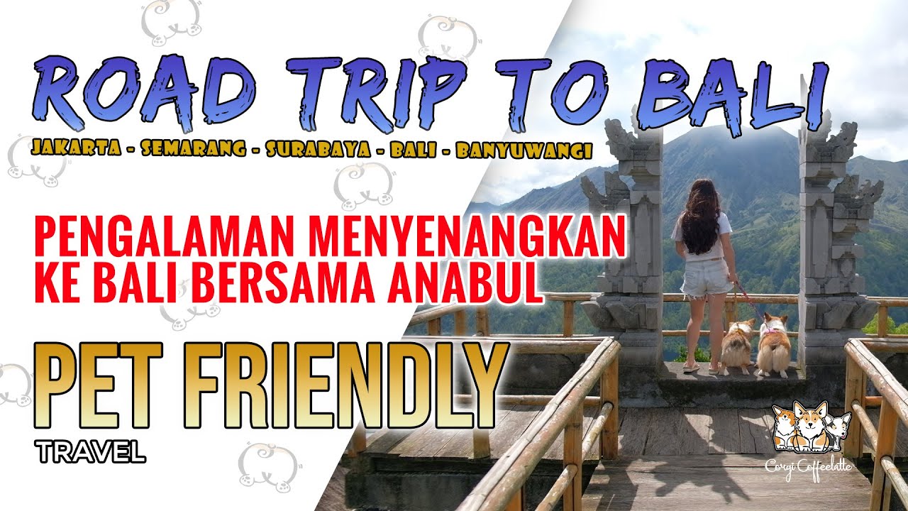 ROAD TRIP TO BALI (Jakarta Semarang Surabaya Banyuwangi) ajak ANABUL