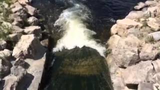 Video: Paddlers hit the Argo Cascades on the Huron River