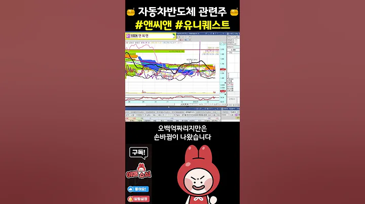 🍯  차량용반도체 관련주 (#앤씨앤)