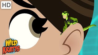Let's Play Creature Hide and Seek | Wild Kratts
