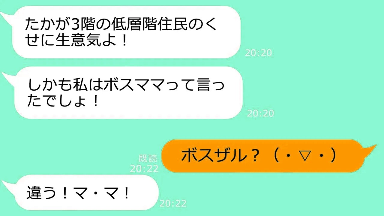 【LINE修羅場】タワマン上層階のママ友が低層階の私をバカにする「3階とか見栄張ってるの？ｗ」→その勘違い女を自宅に招いた瞬間の顔がｗ【長編まとめ】