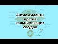 Антиоксиданты против кальцификации сосудов