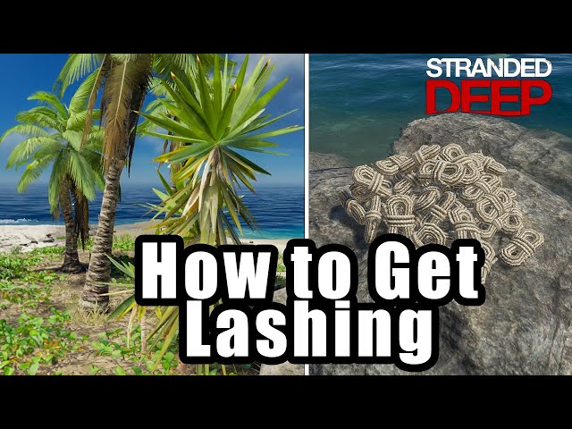 How To Make Lashing in Stranded Deep