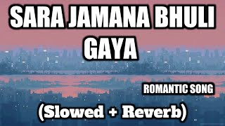 Sara Zamana Bhuli Gaya - Slowed - Reverb Mix - Ahirani Song - 2023 Tranding