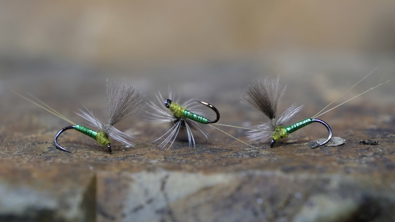 Olivová Parašutka 20# - váže Miroslav Gutwirt