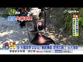 懸掛"失竊車牌"趴趴走! 女騎士"神情恍惚"毒駕遭收押│中視新聞 20260623