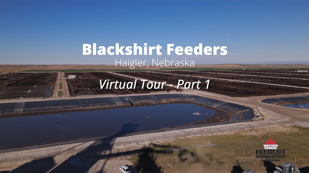 Школа управления откормочными площадками Западной Канады 2026 — Тур Blackshirt Feeders, часть 1