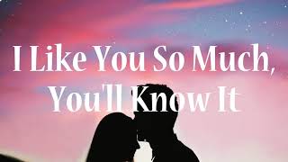 I Like You So Much, You'll Know It - Ysabelle Cuevas (Lyric Video)