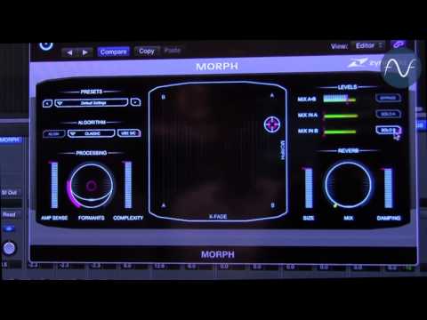 [NAMM] Zynaptiq Morph