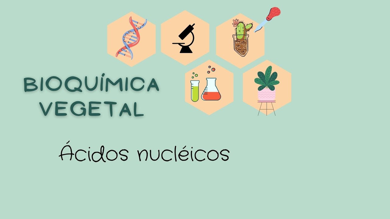 Aula ácidos nucléicos