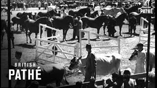 Norwich Aka Pathe Front Page (1947)