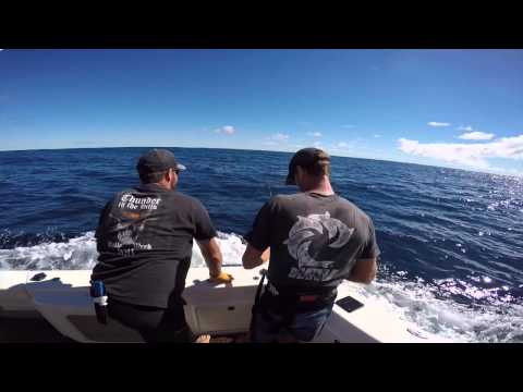 Cool picture of banks fishing charters