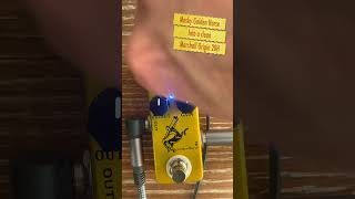 Mosky Golden Horse | Klon Centaur Clone Short Demo | #guitarpedals #kloncentaur #klon