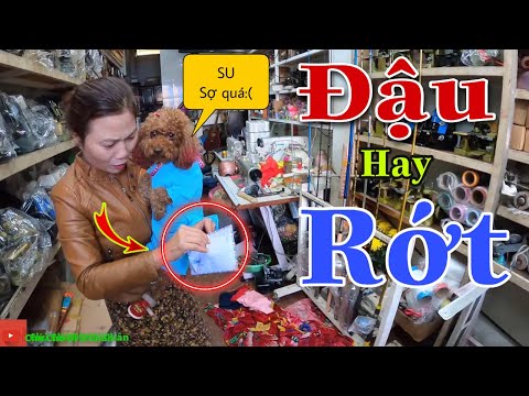 Video Tập 7: Kết quả Su thi ĐẠI HỌC và Món quà tiền TỶ mẹ... - YouTube