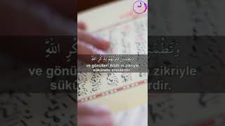 Rad Suresi 28丨Muhammad Al Luhaidan ⁴ᴷ丨#surah #best_quran_recitetion #quran #kuran #قرآن  #Allah