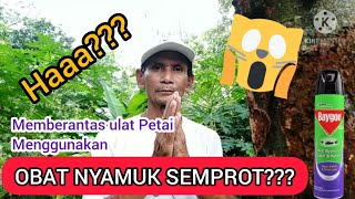 VIRAL!!! MEMBERANTAS ULAT PETAI MENGGUNAKAN OBAT NYAMUK SEMPROT 😲??? By Sahir Utomo