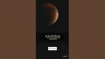 #تلاوة_خاشعة #اكسبلور #تلاوة_هادئة #المصحف #قرأن_كريم #راحة_نفسية #خسوف_القمر