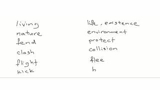 4) Follow  Along! Synonym, Spelling & Vocabulary Practise!