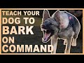 How to Teach Your Dog to Bark on Command.