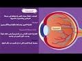 تركيب العين الإحساس فى الإنسان الأحياء الصف الثاني تمريض منهج مطور 2025 الباب الثانى