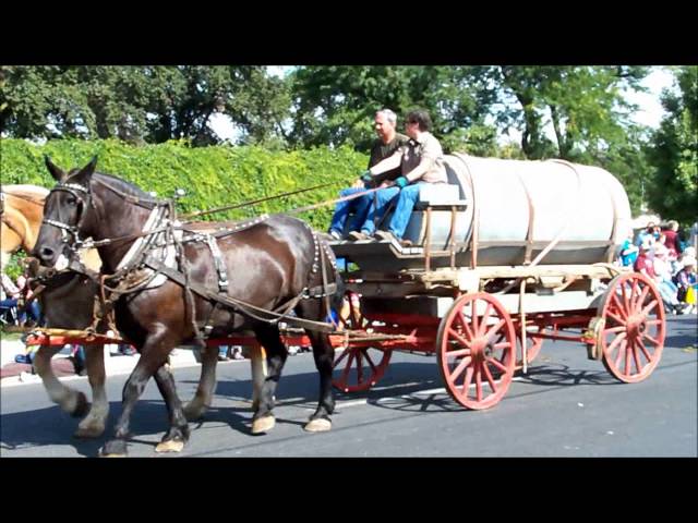 2012 Horse and Mule Drawn Wagons at Pendleton Roundup September 14, 2012 Part 2 class=
