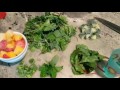 Beginning of video
