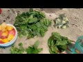Middle of video