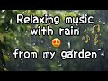 موسيقى هادئة مع صوت المطر مباشرة من حديقة بيتنا Relaxing Music With Rain 