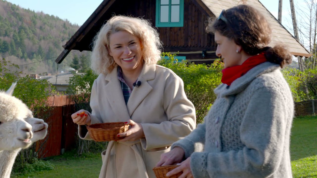 Odpoczywaj na wsi Gospodarstwo agroturystyczne Alpaczino odc. 5