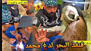 #محمد_مراد_سالم |قنفذ البحر لدغ محمد سالم😂😂😂