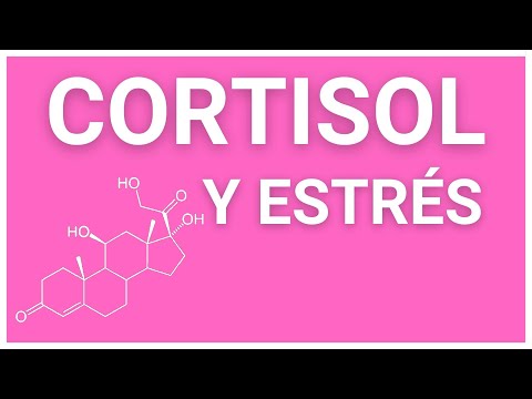 Qué es el CORTISOL cómo funciona y cómo afecta al ESTRÉS La Hormona