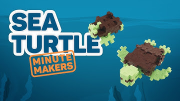 1 Minute Maker | Sea Turtle | How Fast Can You Make a Turtle Like This?