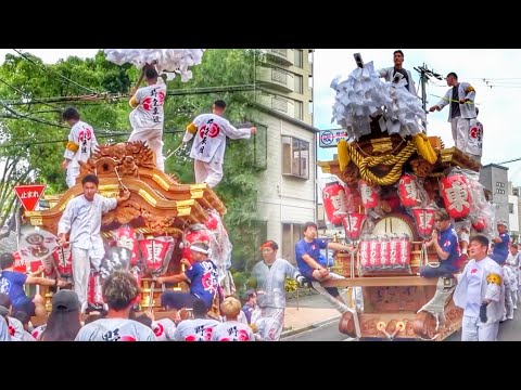 杭全神社 平野郷夏祭り 2025】野堂東組 だんじり 制動テスト 9 2025年6