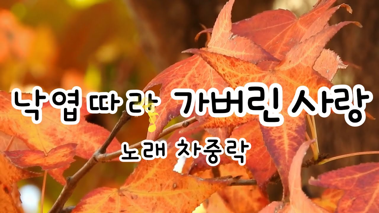 차중락의 낙엽따라 가버린 사랑 1966_가사 포함