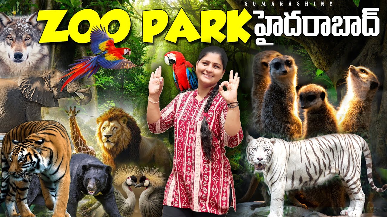 Nehru Zoological Park Hyderabad Full Tour 2025 🐯 | Safari Ride, Ticket Price, Zoo Animals & More!"
