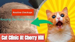 Cat Clinic At Cherry Hill Final promo