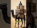 Secrets of Rashidun Army Logistics Revealed Mp3 Song