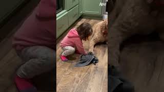 One Step Forward Two Steps Back  afv fail funny