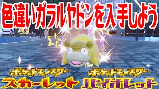 【ポケモンSV】色違いガラルヤドン(ヤドンガラルのすがた)を入手しよう タマゴふか(タマゴ孵化)【ポケットモンスター スカーレット・バイオレット】Pocket Monsters