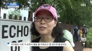 [토요특집 모닝와이드] 130803 #4(1)