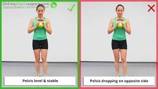 Single Leg Squat Exercise Tutorial (Level 4) - ONLINE PHYSIO EXERCISES