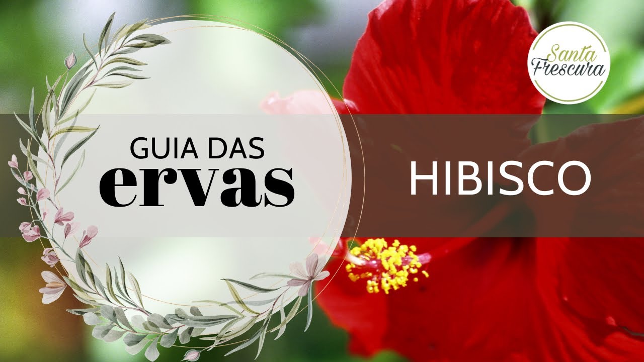 O PODER do HIBISCO - É mesmo afrodisíaco?