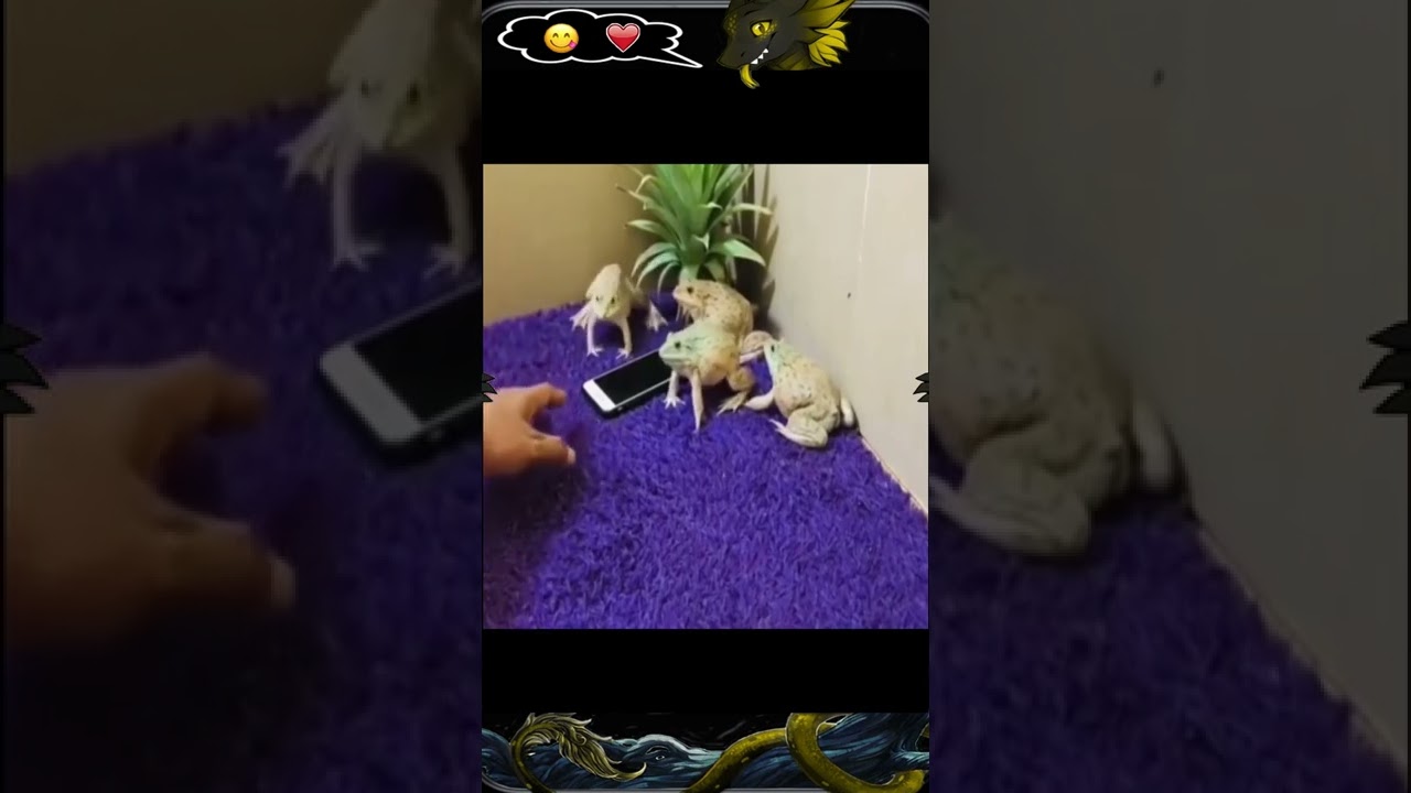 Приколы Distric 43 №95