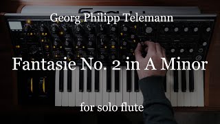 Fantasie No. 2 in A Minor by Telemann, on the Moog