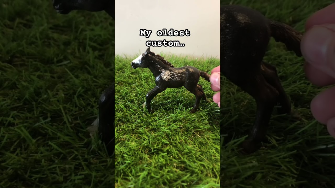 First custom vs my newest ! 